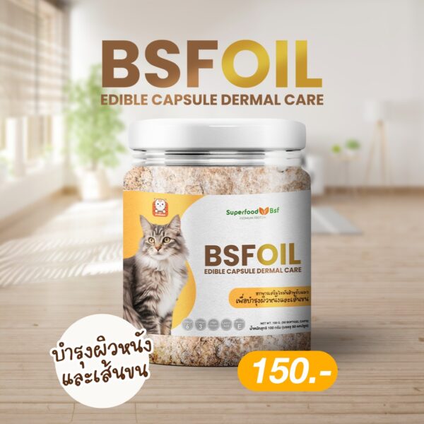 BSFOIL for CAT 🐱🐈 Edible Capsule Dermal Care. .