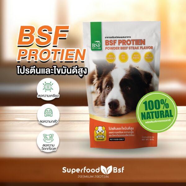 BSF Protein for Dog  Powder beef steak flavor