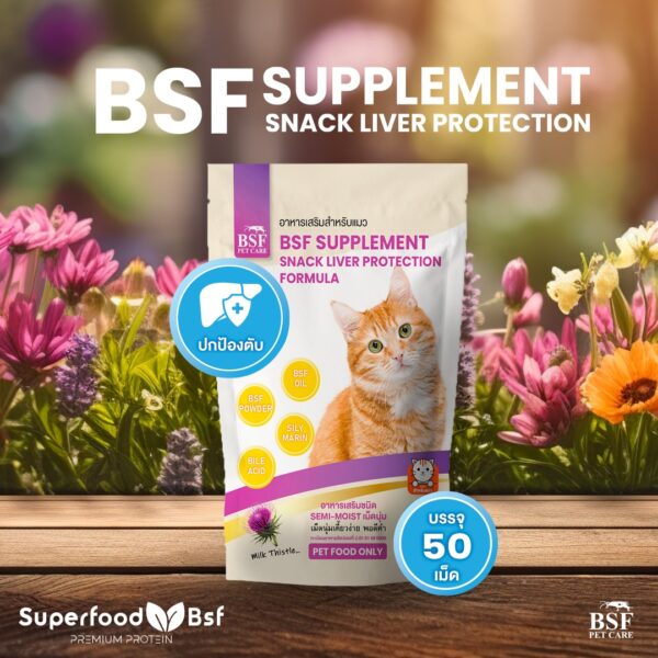 BSF Supplement for CAT สูตรบำรุงตับ มีส่วนผสมหลักจาก Milk Thistle