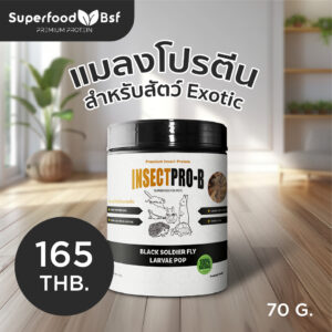 แมลงโปรตีน สำหรับสัตว์เลี้ยงExotic Insectpro-B Superfoodbsfโปรตีน50%